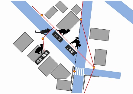 猫が電線を渡る 綱渡り 経路