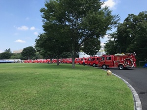 gathered fire trucks
