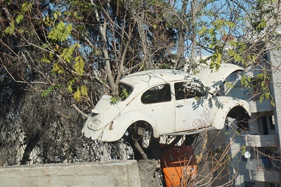 CAR_TREE